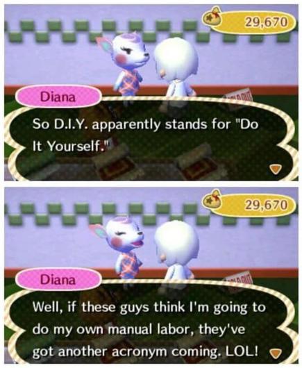 Animal Crossing New Leaf