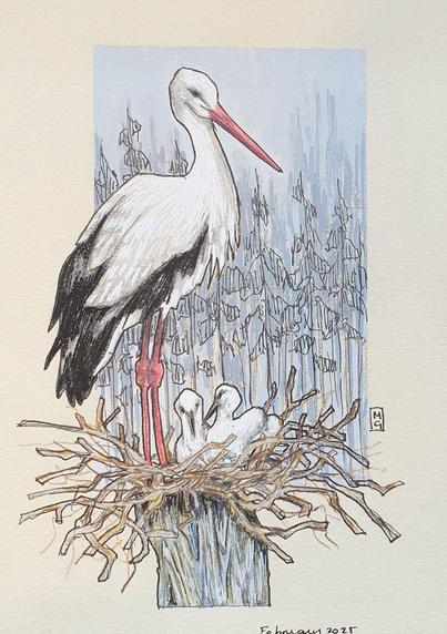 A small drawing of a white stork on a nest with chicks and an abstract grey forest landscape background. White Storks are migratory birds, breeding in warmer climates across Europe and West Asia and wintering in Africa. According to a myth, the white stork brings babies.
An original art work, please note that the frame is not included.
Colour pencil and mixed media on acid free toned artist paper
5 by 7 inches (12.7 by 17.8 cm).