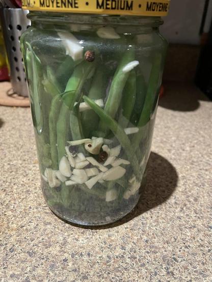 Green beans pickled in a jar up close. Floating garlic bits and mustard seeds also visible inside the jar, which has a yellow lid with the word “medium” on it.