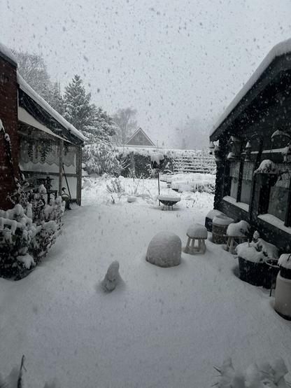 Ein Foto von einem stark verschneiten Garten in den Niederlanden.