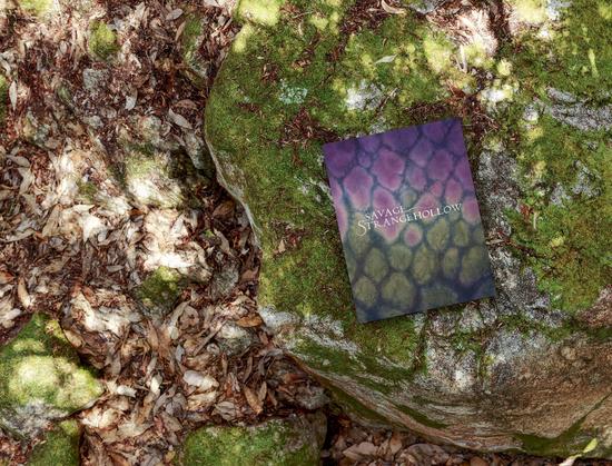 image of a forest floor with rocks on it and on top of the rock is a book which is purple and green with the words 'savage strangehollow' on it