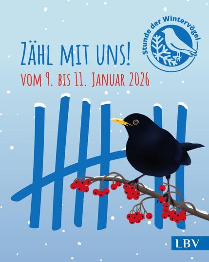 Einfache Grafik, die eine männliche Amsel auf einem Zweig mit roten Beeren zeigt. Darüber der Text "Zähl mit uns! Vom 9. bis 11. Januar 2026" und das Logo der Aktion "Stunde der Wintervögel".