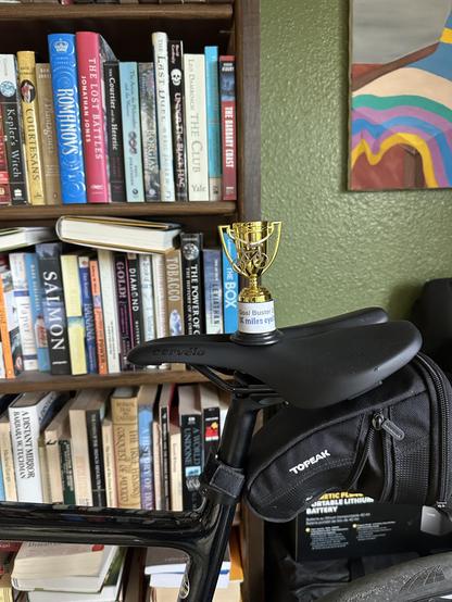 Trophy for achieving 1000 road bike miles in 2025 from my Tri Club.
