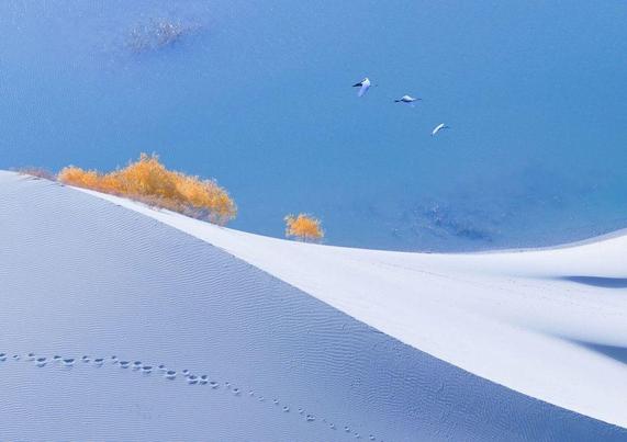 A serene landscape featuring golden trees beside a clear blue lake, with white sand dunes in the foreground and birds flying overhead.