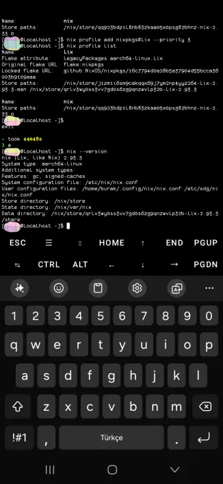 A Termux terminal showing that Lix is in fact installed.