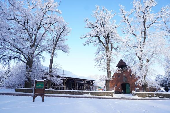 Verschneite Landschaft mit Bäumen und zwei schneebedeckten Gebäuden