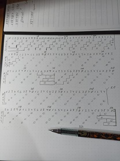A notebook with a long diagram consisting of 182 columns, where it is tracked which cell is connected to which spine.