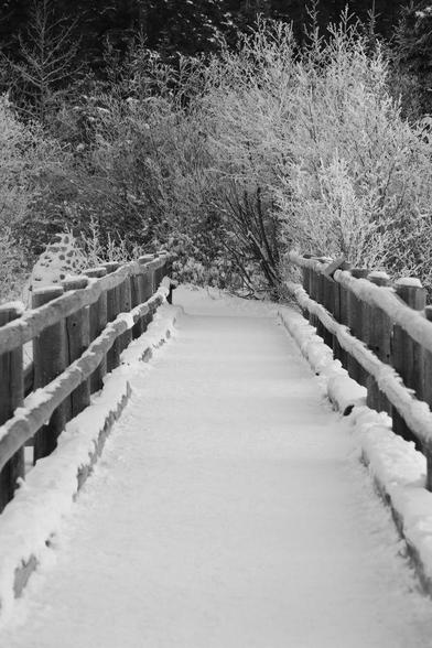 Photo of a footbridge with wooden railings, laden with snow. The bridge leads into the image, with the far end of the bridge connecting to frost-covered shrubs and trees, where the trail moves around a corner.