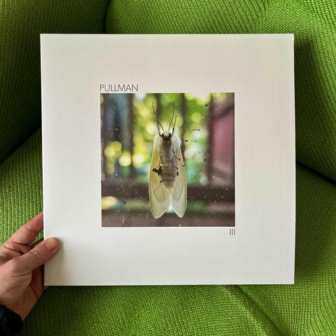 Vinyl record cover titled “PULLMAN,” held by a hand, with a close-up of an insect with long wings on a glass pane in front of a blurred background.