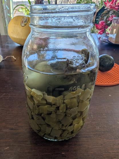 A mason jar. Half full of small green squares of cactus and two large jalapenos.