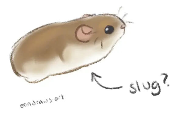 a brown hamster looking very potato-like, no limbs visible. an arrow points at her and text says, "slug?"