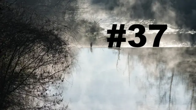 Un oiseau posé sur le bord d'une petite cascade sur un cours d'eau. Un arbre sur la gauche. Au-dessus de l'eau, des brumes de vapeurs. L'eau au premier plan semble sans mouvement, tandis qu'après la cascade le cours d'eau se transforme en torrent. Sur la droite le numéro de la chronique précédé d'un dièse.