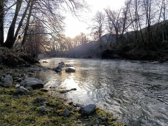 Un fleuve peu profond entouré de végétation hivernale, avec des arbres dénudés et une colline en arrière-plan au petit matin. De l'herbe légèrement blanchie et des petites roches au premier plan sur la gauche de la photographie.