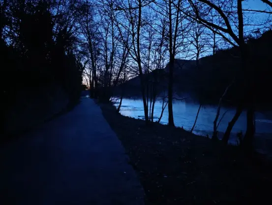 Un chemin le long d'un petit fleuve dans l'obscurité du matin. Les arbres se découpent dans un ciel dégagé.