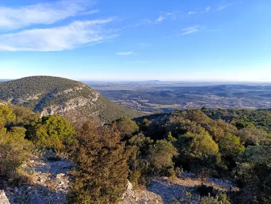 Vue des hauteurs d'un petit massif dans le Gard. Le ciel est bleu, parsemé de quelques légers nuages. La végétation, de type garrigue, est basse et composée principalement de chênes verts. La vue donne du côté des Cévennes.