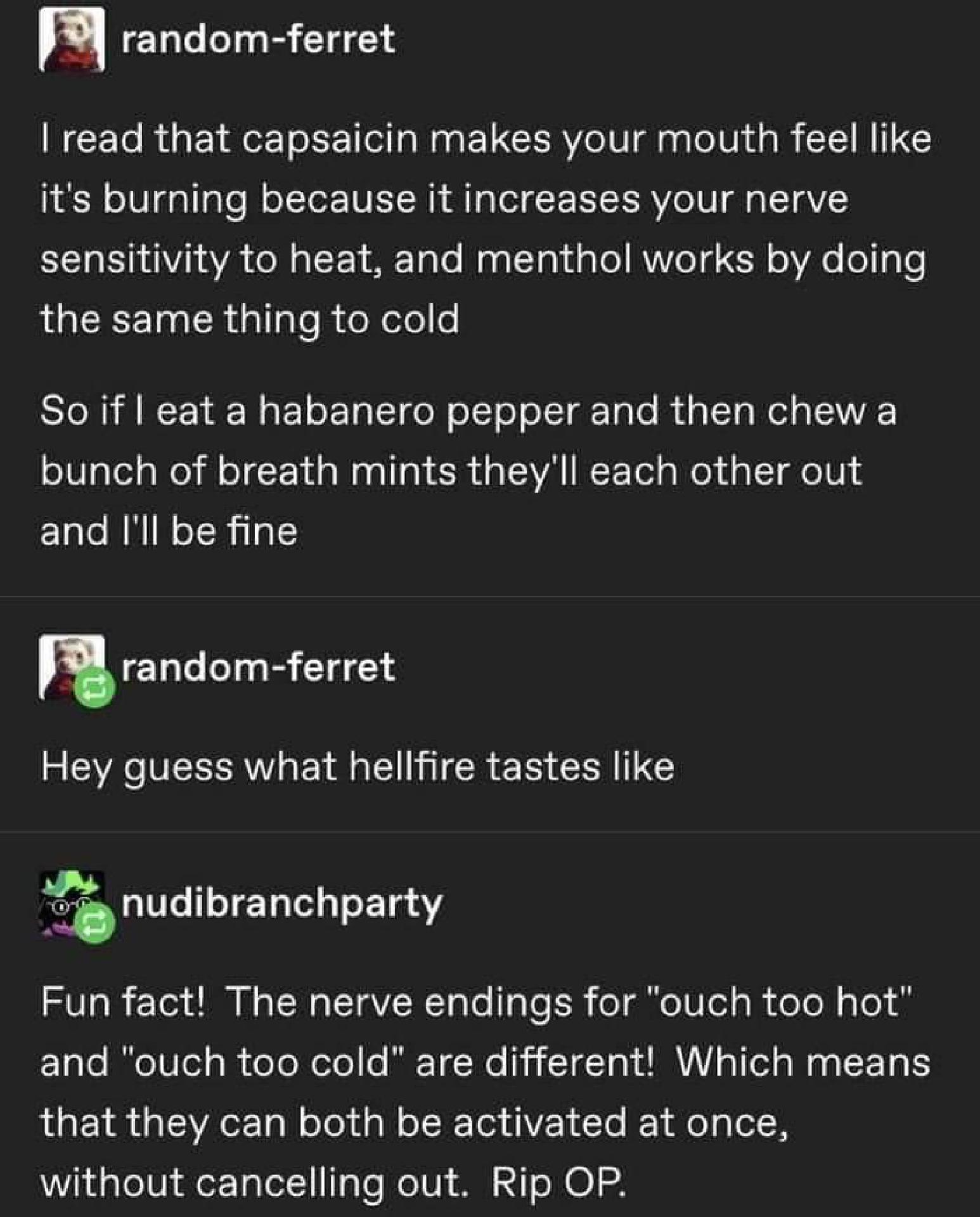 Tumblr post: I read that capsaicin makes your mouth feel like it's burning because it increases your nerve sensitivity to heat, and menthol works by doing the same thing to cold So if I eat a habanero pepper and then chew a bunch of breath mints they'll each other out and I'll be fine Same user replying to themself later: Hey guess what hellfire tastes like Comment: Fun fact! The nerve endings for "ouch too hot" and "ouch too cold" are different! Which means that they can both be activated at once, without cancelling out. Rip OP.