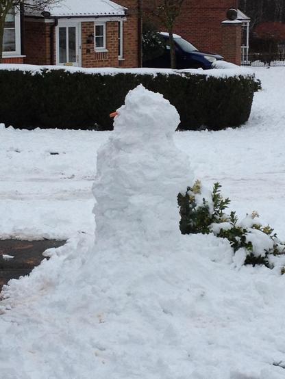 A snowpenis stands in a snowy landscape