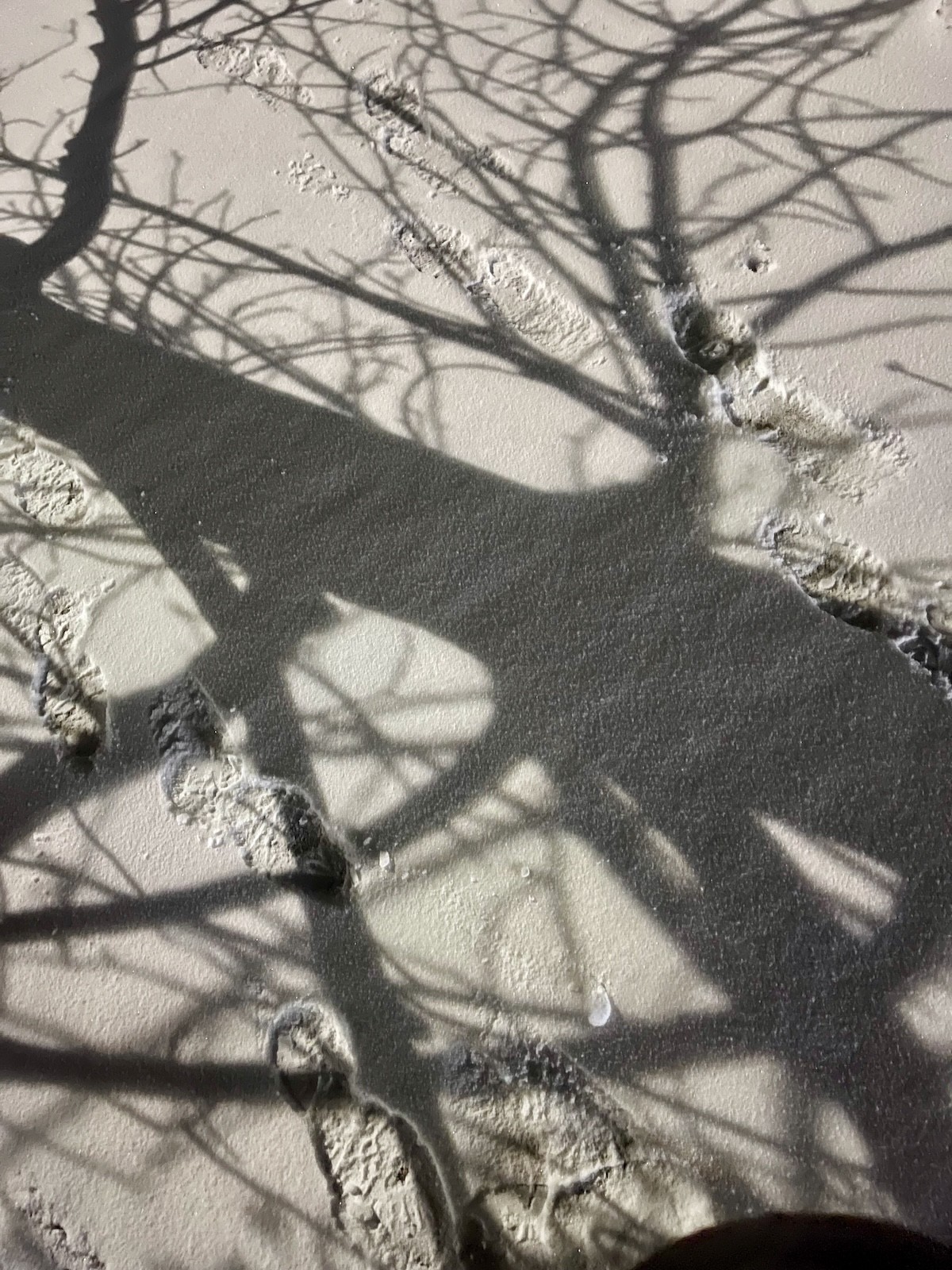 shadows on the snow