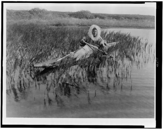 The image is a black and white photograph depicting an individual paddling a kayak through what appears to be marshland. The person, who seems to belong to the indigenous Kotzebue community as indicated by the caption, is wearing traditional clothing with fur lining which suggests they are prepared for cold weather conditions common in Arctic regions.

The setting includes tall grasses and reeds that are partially submerged in water, indicative of a wetland or marsh environment. The person's attire consists of a hooded garment made from animal hides, possibly sealskin, designed to protect against the harsh climate while engaging in activities such as hunting and travel across icy waters during winter months.

The individual is handling two paddles; one held in each hand alternately for propulsion through the waterway. Their posture shows exertion or focus on navigating their vessel efficiently. The photograph captures a moment of daily life, showcasing traditional practices within an indigenous Arctic community around 1929 as documented by Edward S. Curtis.

The image carries historical significance and offers insight into cultural practices specific to this group's adaptation to the challenges posed by their environment during that era.