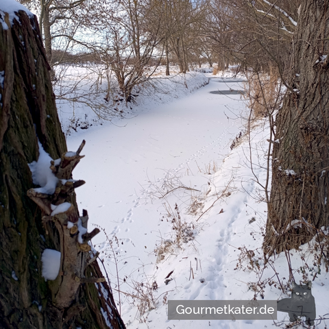 Schnee auf Fluß mit Tierspuren