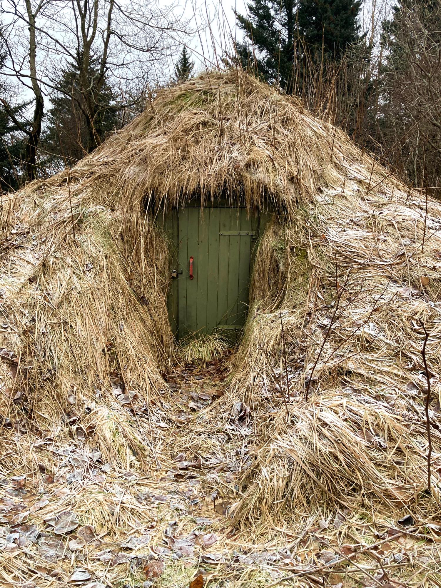 An old potato storage with a green door.