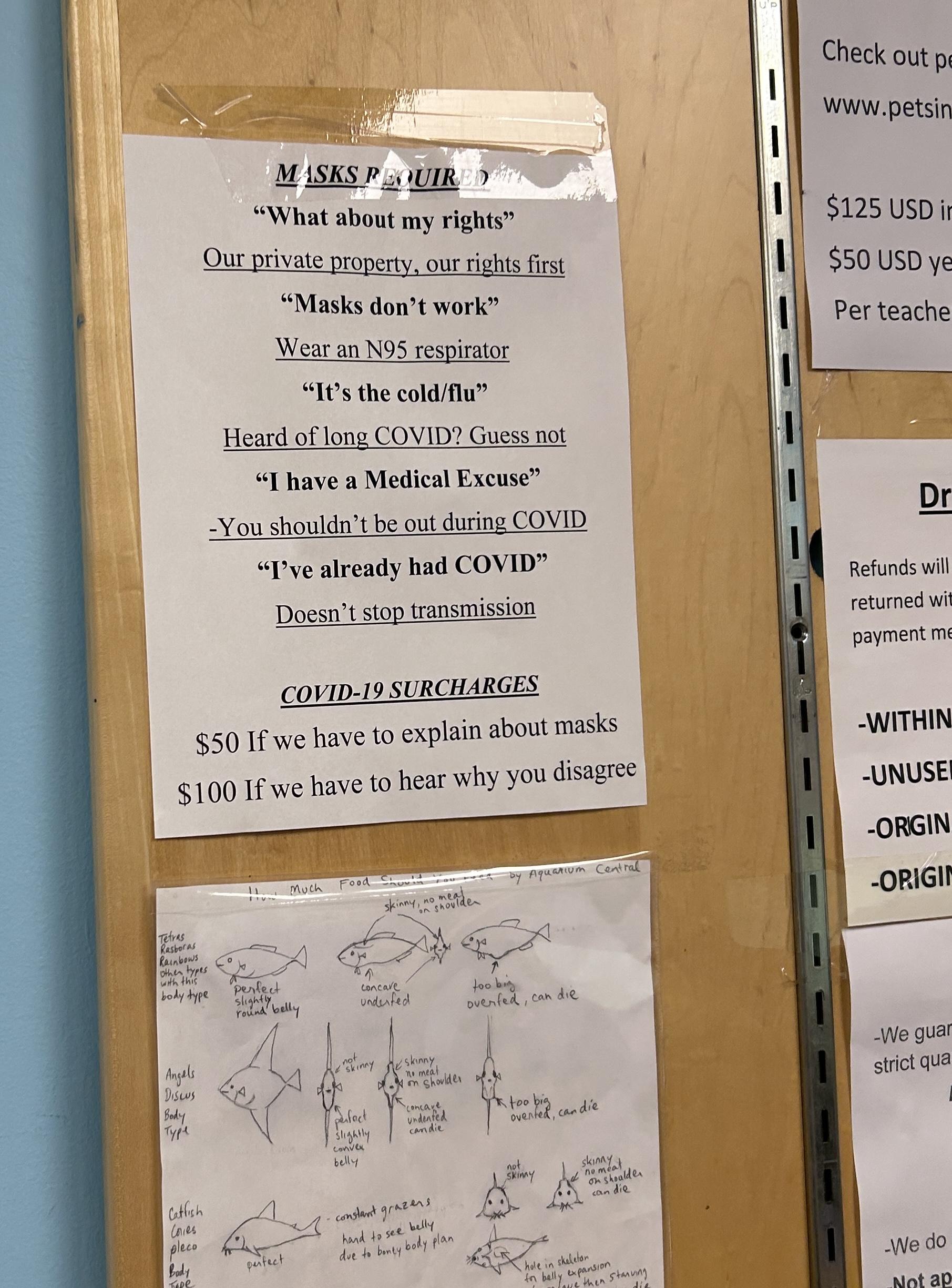 One of several printed signs on a cork board behind the cash register; the others are fish-related information or diagrams, but this one reads: MASKS REQUIRED "What about my rights" Our private property, our rights first "Masks don't work" Wear an N95 respirator "It's the cold/flu" Heard of long COVID? Guess not "I have a Medical Excuse" You shouldn't be out during COVID "I've already had COVID" Doesn't stop transmission COVID-19 SURCHARGES $50 If we have to explain about masks $100 If we have to hear why you disagree