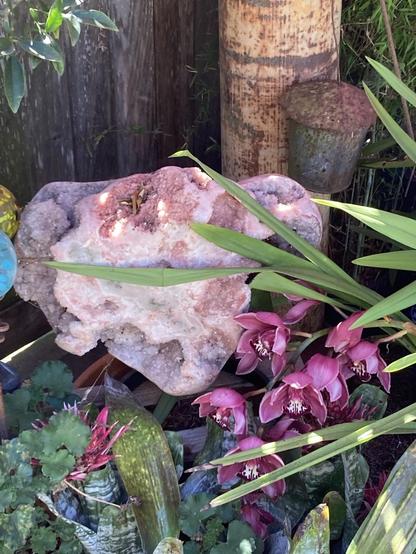 A large pink crystal with a cascade of orchids, set in a garden with long green leaves. The multicolored crystal looks like a female womb and seems to radiate energy.