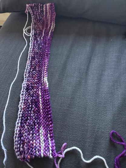 A piece of garter stitch knitting, in a purple variegated yarn, bound off and waiting for the next step. There is a white chain on the left, straight side of the knitting, and a bound off curved edge on the right side of the piece. It sits on a gray couch.