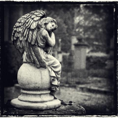 Ein schlafender Engel mit angelegten Flügeln auf einem Grabstein. Das Foto ist monochrome und schaut nach einer alten Fotografie aus.