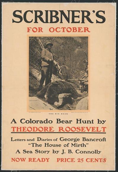 The image is a vintage poster featuring the title "Scribner's for October" at the top in bold, red lettering. Below this title is an illustration of a man standing on rocky terrain with his arm extended towards something out of view to the left side. The figure appears rugged and dressed in outdoor attire suitable for bear hunting. Next to him are leafless trees or shrubs indicating it might be autumn as suggested by the October reference.

The text beneath the image reads "A Colorado Bear Hunt" followed by a larger font size that says "by Theodore Roosevelt." Below, there's an additional description stating "Letters and Diaries of George Bancroft 'The House of Mirth' A Sea Story by J. B. Connolly," suggesting these are included in this edition.

On the bottom right corner is another text declaring "NOW READY PRICE 25 CENTS" indicating its affordability at that time period, with a price mentioned being twenty-five cents for readers to acquire it.

The overall design and content of the poster suggest historical context related to outdoor activities such as bear hunting. The image evokes a sense of adventure associated with Theodore Roosevelt's name due to his association with wilderness exploration and conservation efforts during American history.