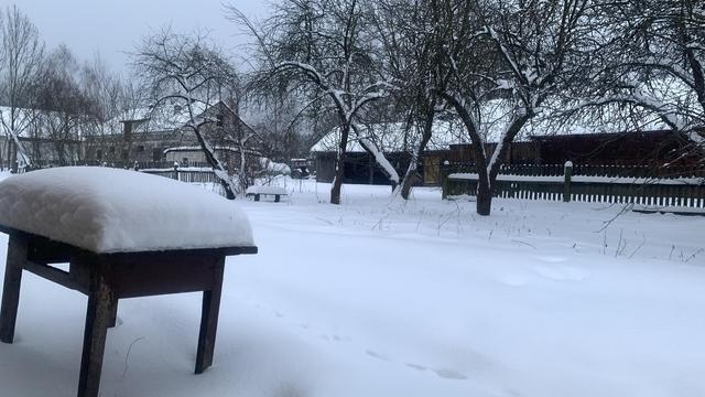 Zaśnieżony ogród. Z przodu stolik drewniany z czapą ze śniegu. W tle drzewa i budynki sąsiada