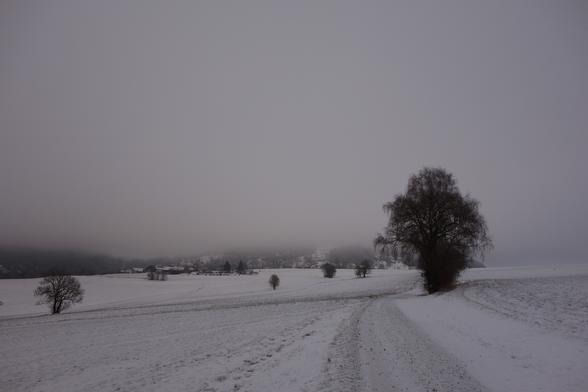 Winterlandschaft