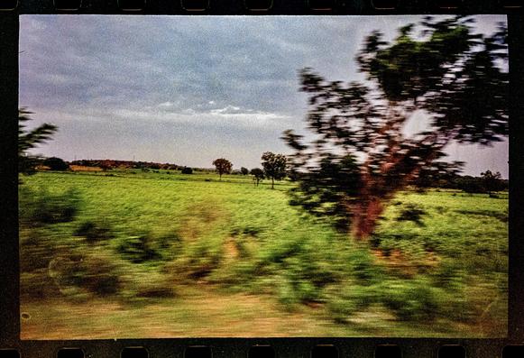 View of an agricultural field in the distance, with the near ground blurry from motion. Overcast skies.