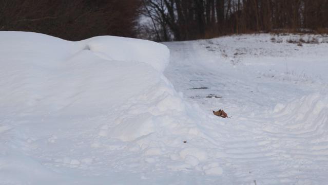Schneewehe auf einer schmalen Straßen.