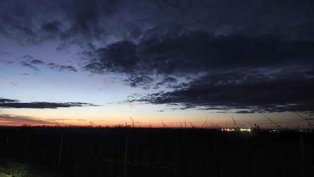 Morgenrot mit einzelnen dunklen Wolkenbändern über einer noch ganz dunklen Landschaft. Man ahnt ein paar Rebstöcke. In der Bildmitte knapp über dem Horizont ist winzig die letzte Mondsichel vor Neumond zu sehen.
