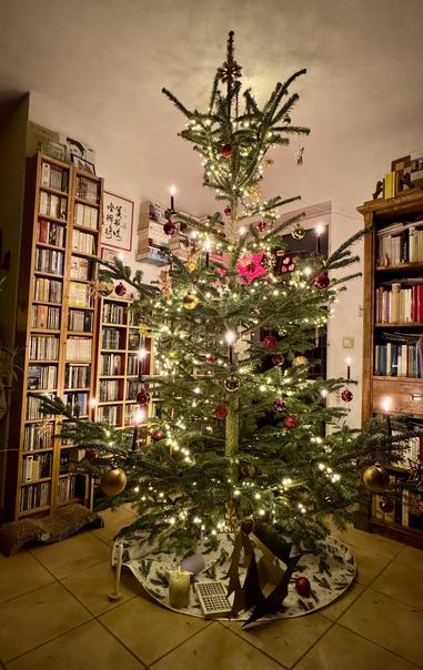 Ein wunderschön geschmückter Weihnachtsbaum mit Lichtern, Ornamenten und Kerzen steht in einem gemütlichen Innenraum. Verschiedene Bücherregale sind im Hintergrund sichtbar, was zur warmen, festlichen Atmosphäre beiträgt.