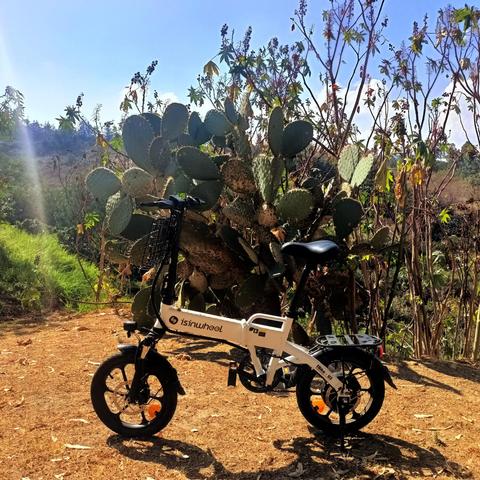 another photo of my folding ebike in front of nopales under the sun.