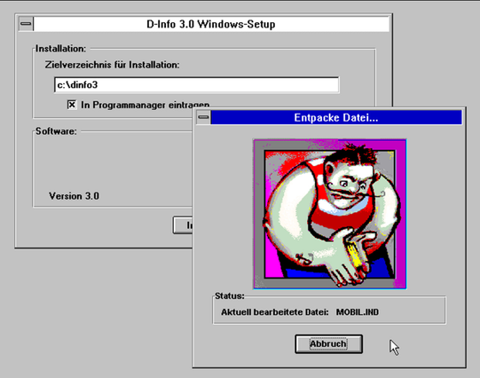 D-Info 3.0 Windows-Setup... krasser Seemann packt manuell Dateien! LOL