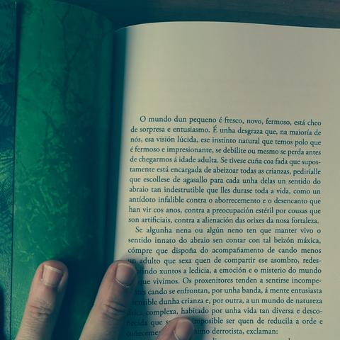 Un libro aberto coa páxina esquerda en cor verde e na dereita o texto que se cita