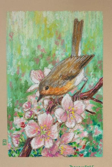 An oil pastel painting of a robin with pink spring blossoms on a green and pink background.
An original art work, please note that the frame is not included.
Fine art oil pastel on toned pastel paper
Size A5 (21cm x 14.5cm)