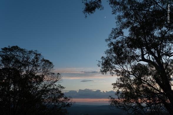 The silhouettes of two large, close eucalypts, left and right, dominate this pre-dawn landscape. Between and beyond them we see a much lower, dark plain running out to a coastline and a dull blue sea. On the horizon a dusky pink is just starting to grow under a typical low bank of offshore cumulus. A higher bank of less structured cloud is still mostly pale white, and above the sky grades from light blue to much darker blue. Almost unnoticed, high on the right, a tiny crescent moon is a cameo surrounded by eucalypt leaves.