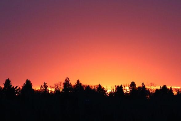 Silhouetted conifers run along the bottom of the photo, against a backdrop of a vibrant sunset sky moving from pink to orange as it gets closer to the horizon.