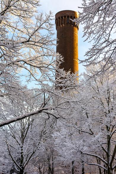 Zwischen mit Schnee und Eis überzogenen Baumkronen die Spitze des Wasserturms in Rothenburgsort.