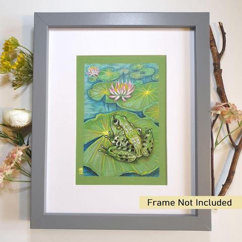 A small colour drawing of a green frog sitting on a lily pad. The drawing depicts the frog and the pond with the waterlilies stretching into the background.
An original art work, please note that the frame is not included.
Colour pencil and mixed media on acid free toned artist paper
5 by 7 inches (12.7 by 17.8 cm).