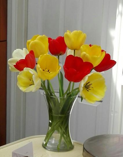 A glass vase containing a dozen tulips, fully in flower, bright reds and yellows, in sharp focus, against the neutral background of a curtain with subdued, pale grey and off-white, vertical stripes