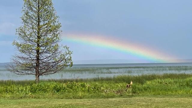 Michigan golf courses for sale in 2026. 11 up for sale now