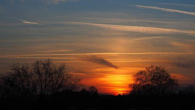 Zwischen zwei kahlen Baumkronen geht die Sonne hinter der Dunstglocke über Köln unter. Der Dunst ist von der untergehenden Sonne gelb bis orange gefärbt. Im oberen Bilddrittel sieht man den noch blauen Himmel und dünne Wolkenschleier.