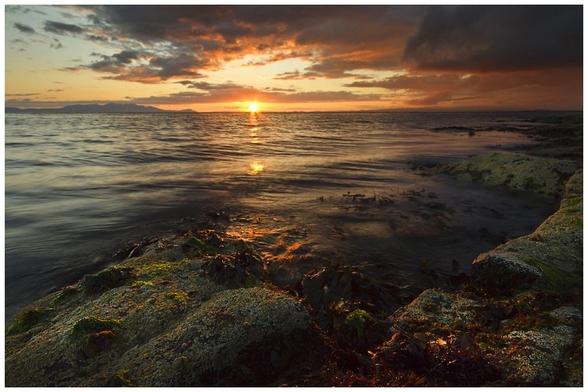 A serene seaside scene at sunset, featuring gentle waves reflecting the orange and purple hues of the sky. Rocky shorelines are visible in the foreground, with patches of green seaweed.