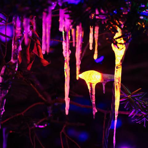 Christmas lights thru icicles