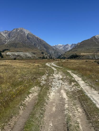 Two Thumb Track - Bush Steam